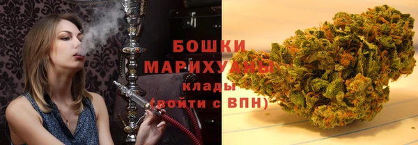 индика Белоозёрский